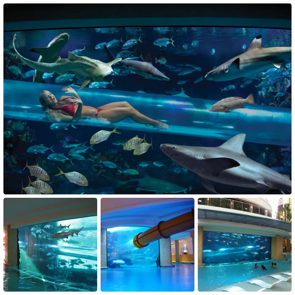 Погружаясь в удивительные бассейны, фото 6